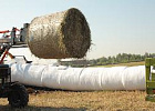 В России заготовлено 21,2 млн тонн объемистых кормов В России заготовлено 21,2 млн тонн объемистых кормов
